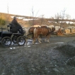 Unicoop - IN CARROZZA SUL FACSAL
