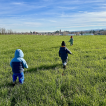Unicoop - NIDI APERTI A VIGOLZONE